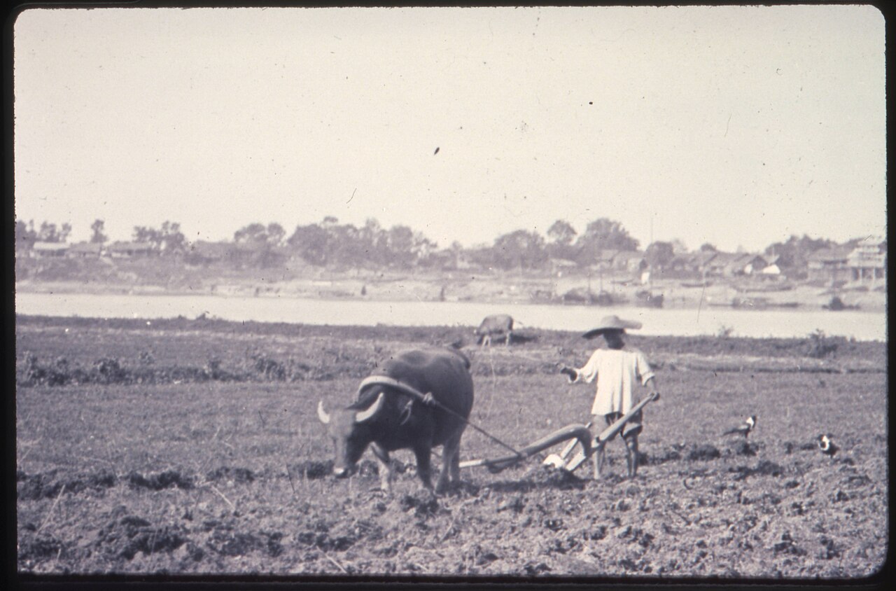 Hunan Agricultural University