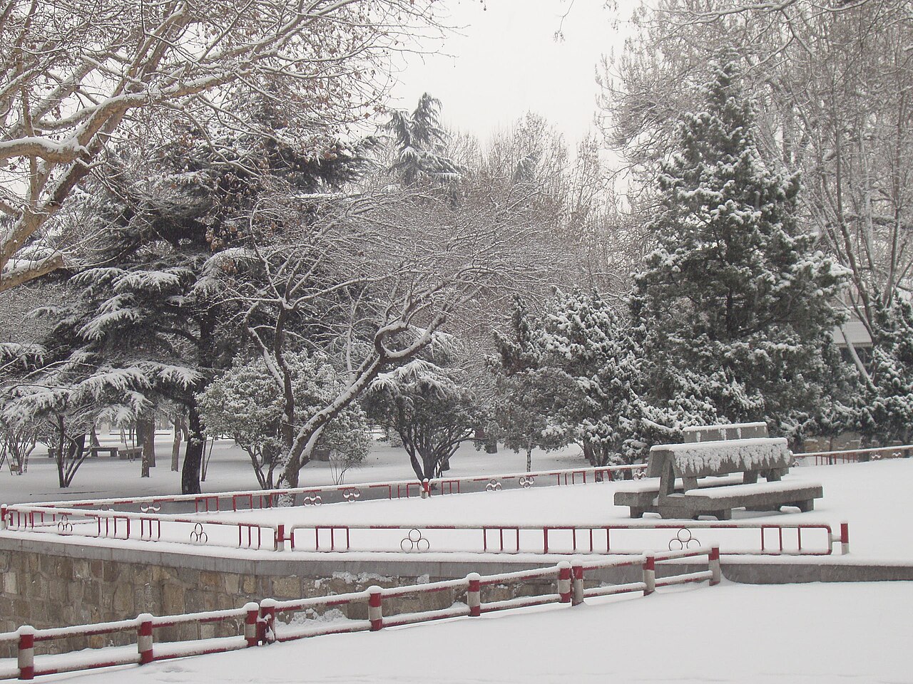Shandong Agricultural University