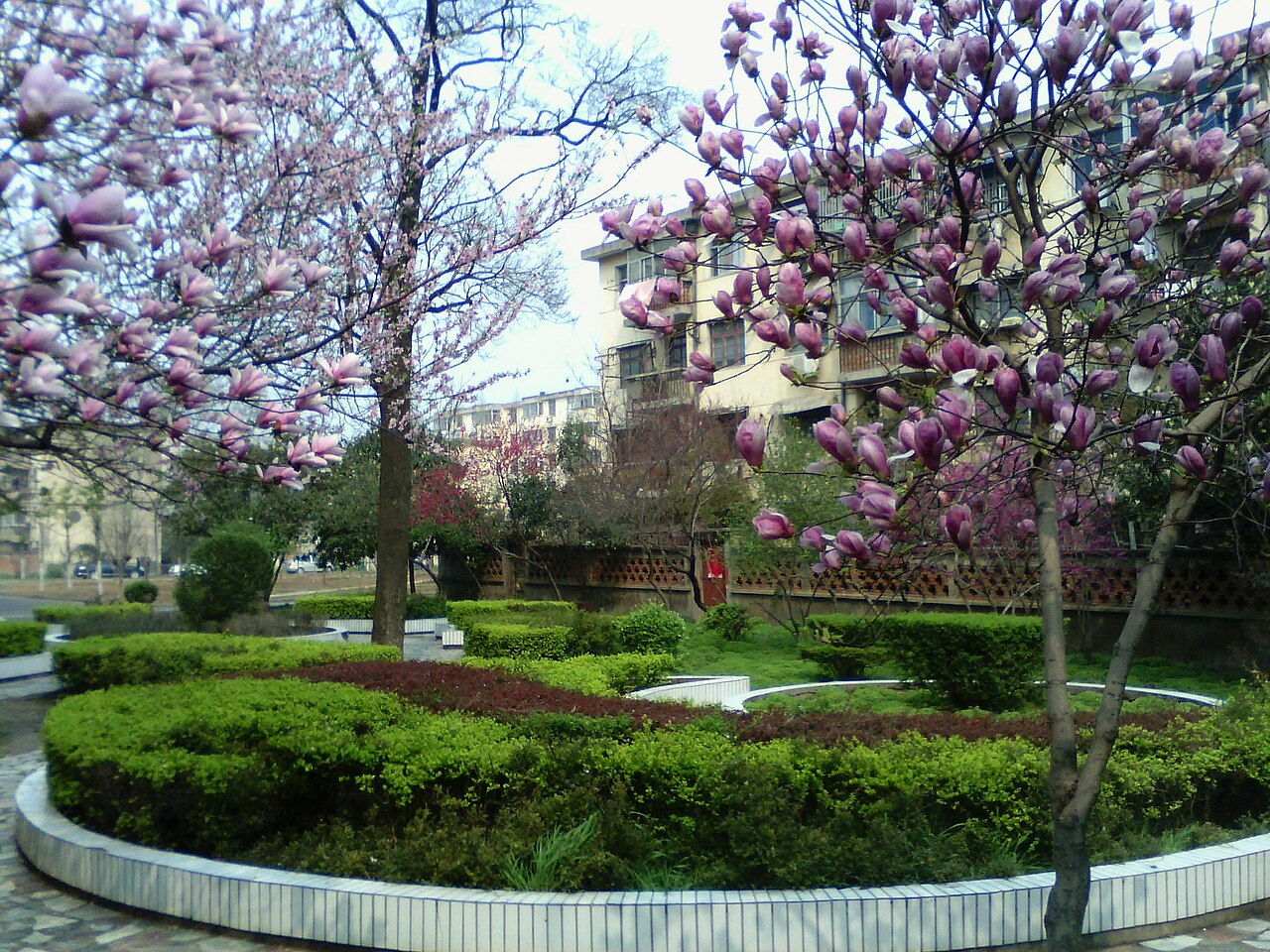 Fuyang Normal University