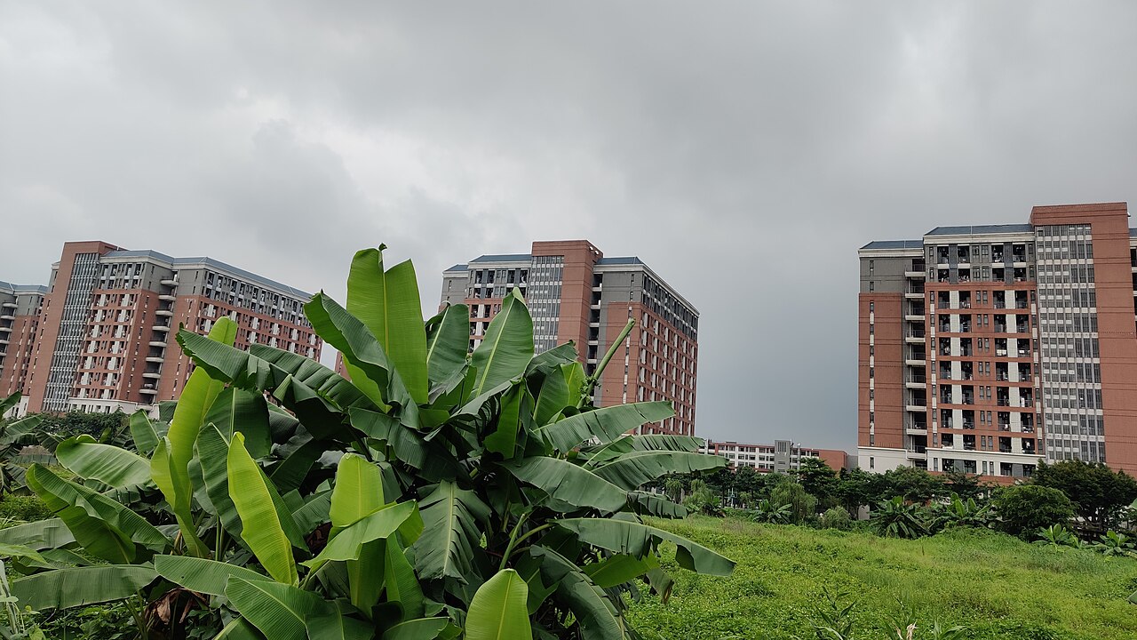 Guangzhou Xinhua University