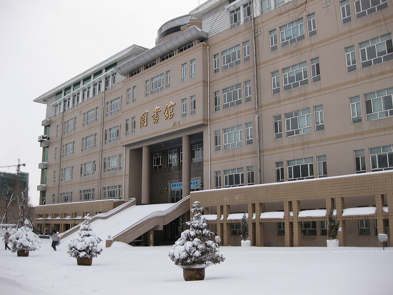 Northeast Forestry University