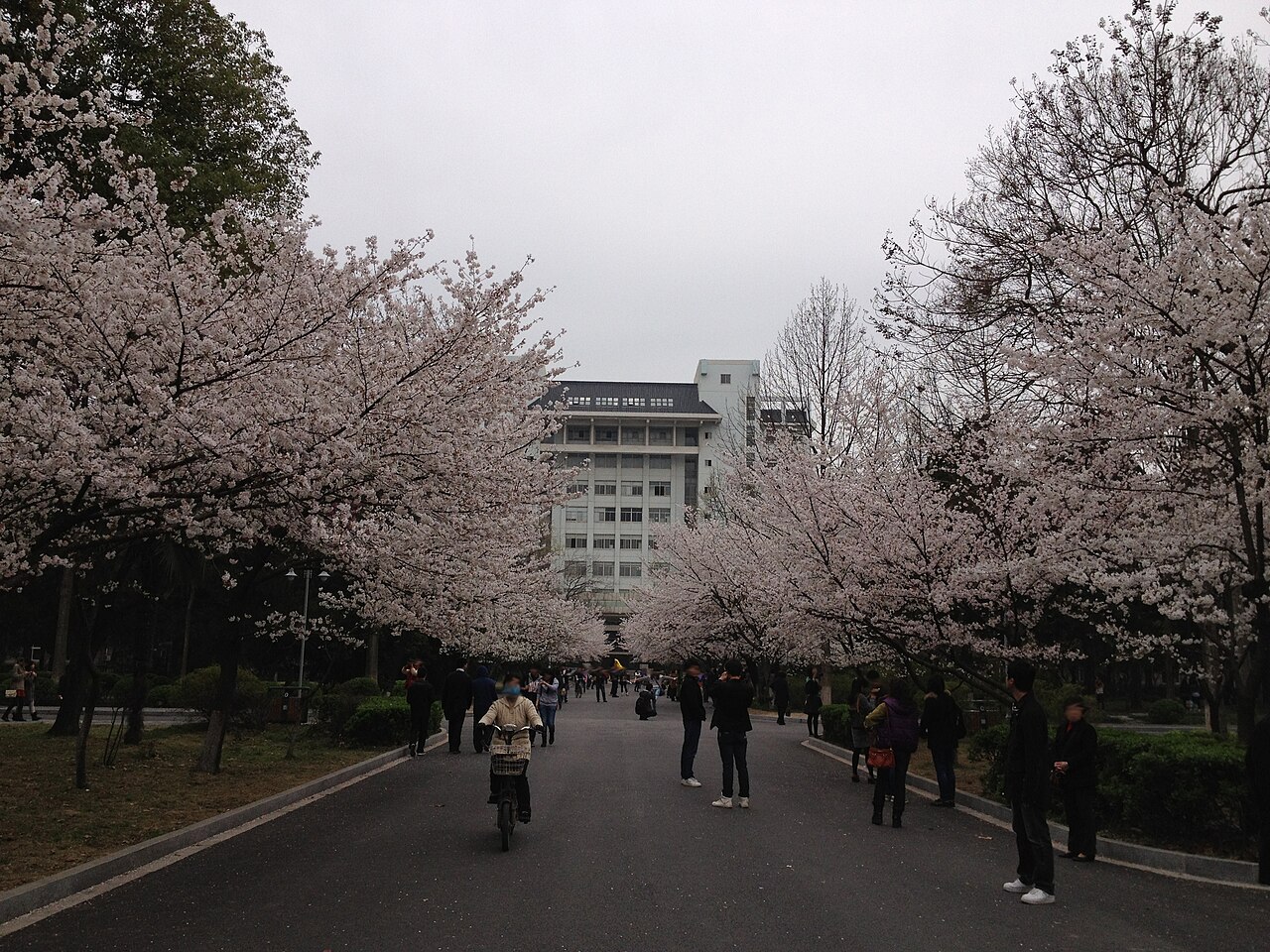 Nanjing Forestry University