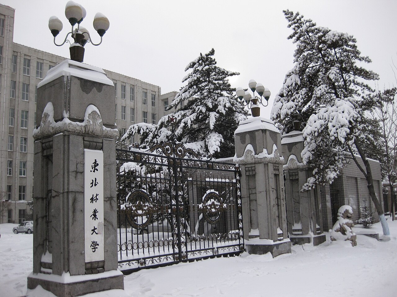Northeast Forestry University