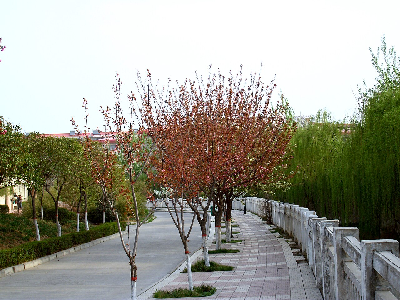 Xi'an University of Science and Technology