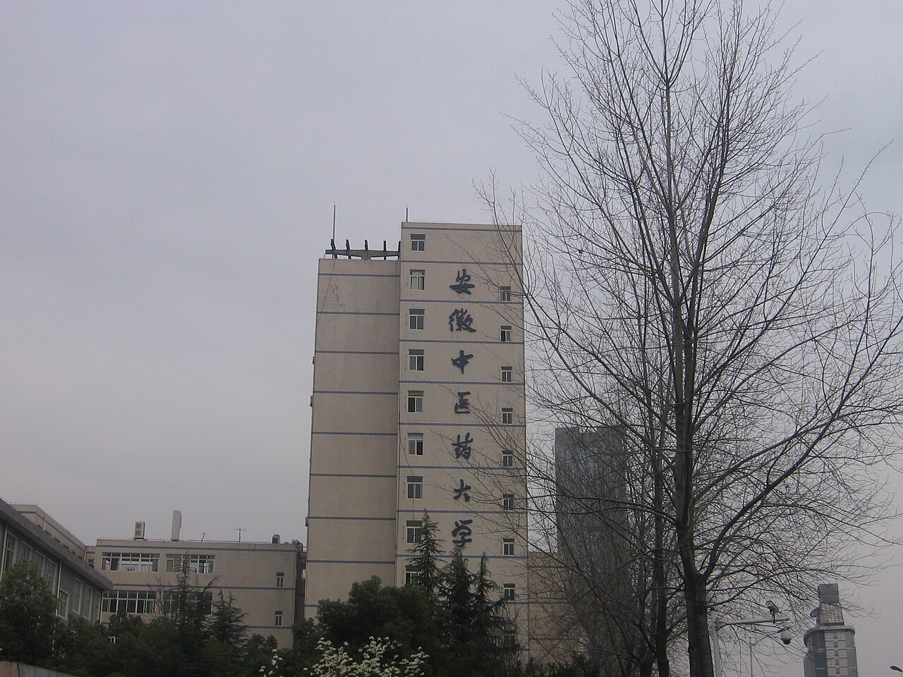 Anhui University of Chinese Medicine
