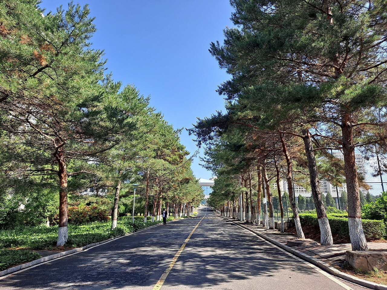 延边大学