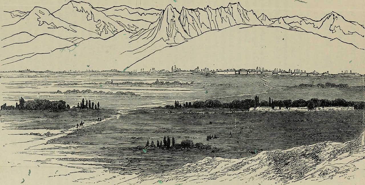 جامعة كاشغر