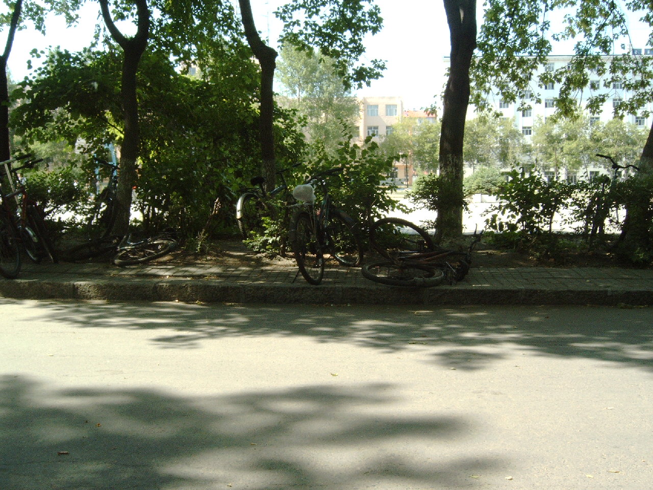 Jiamusi University