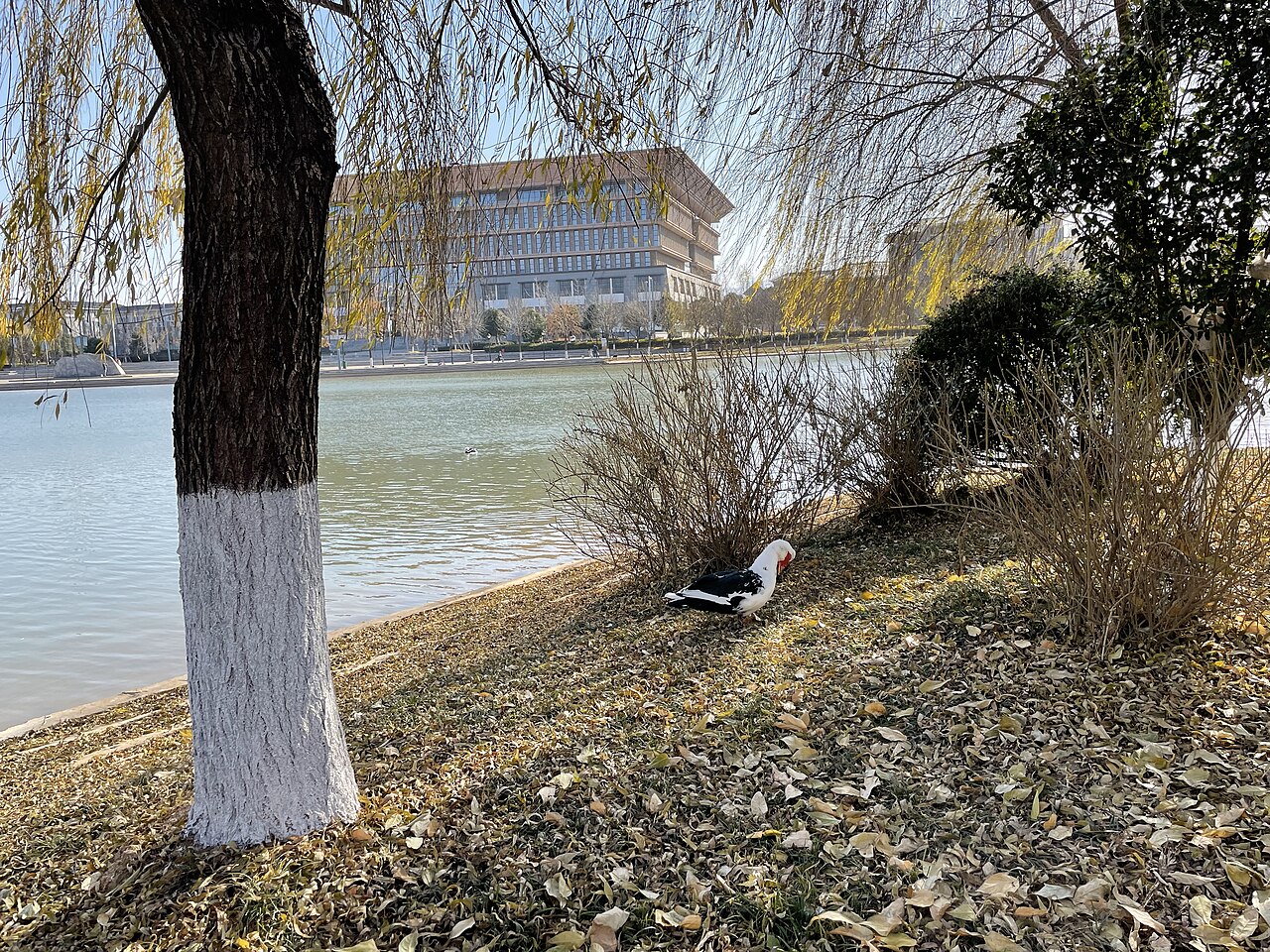 洛阳师范学院