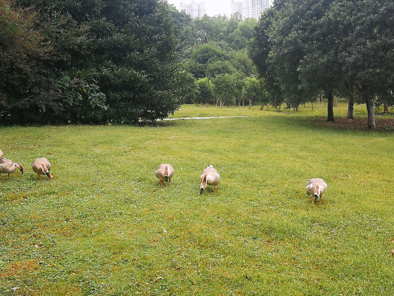 宁波大学