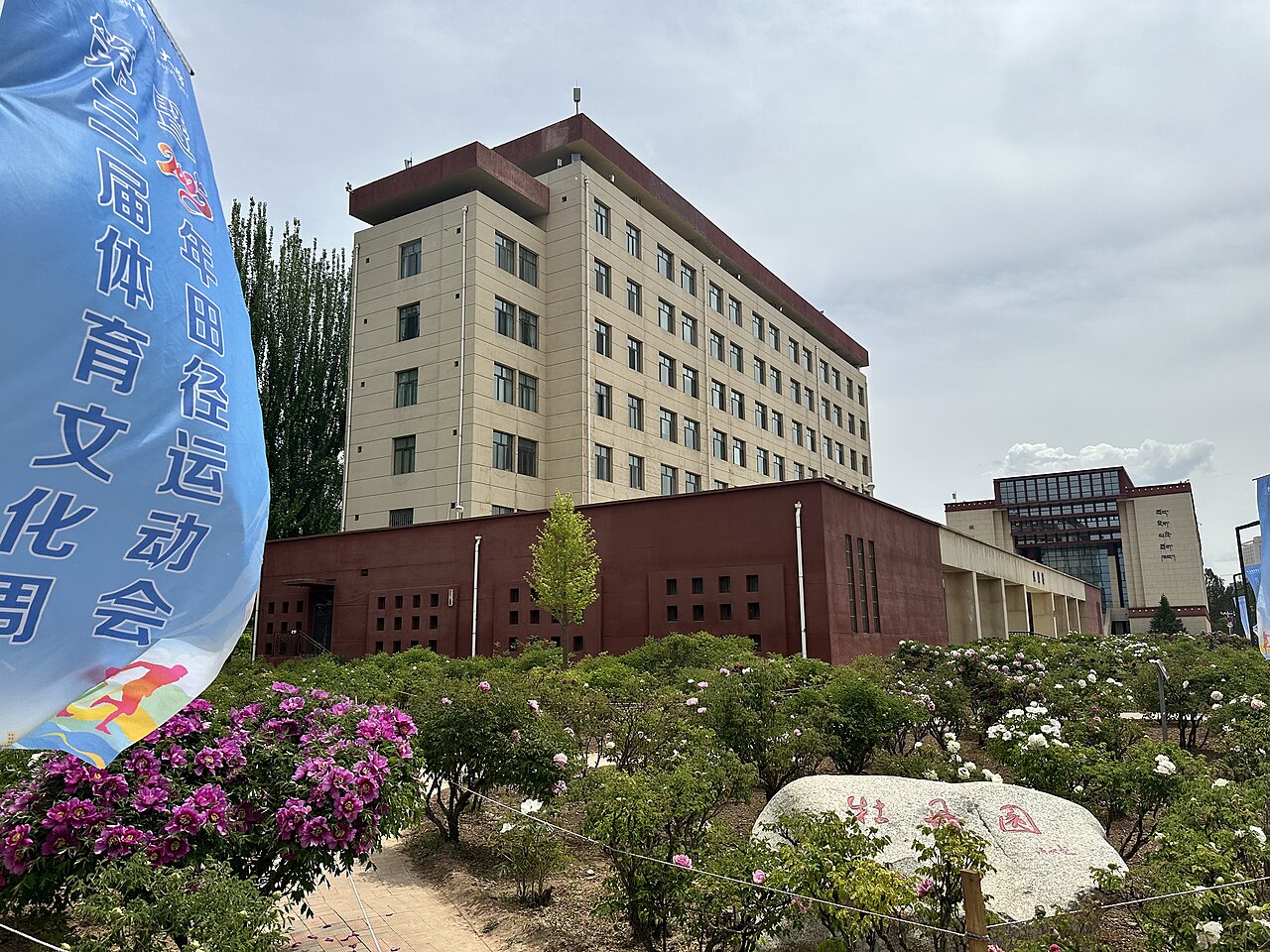 青海大学