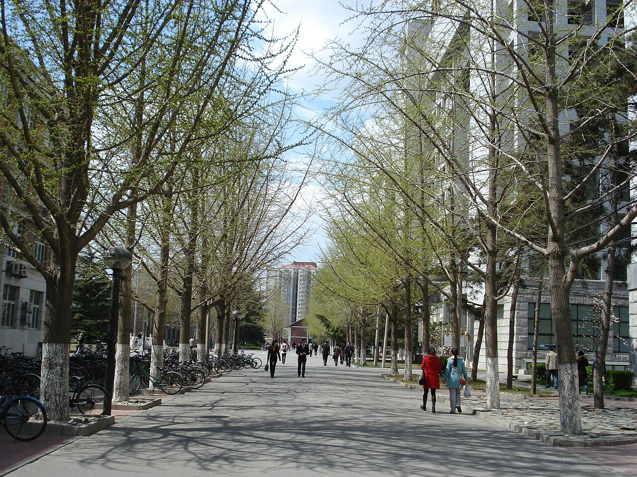 Beijing Jiaotong University