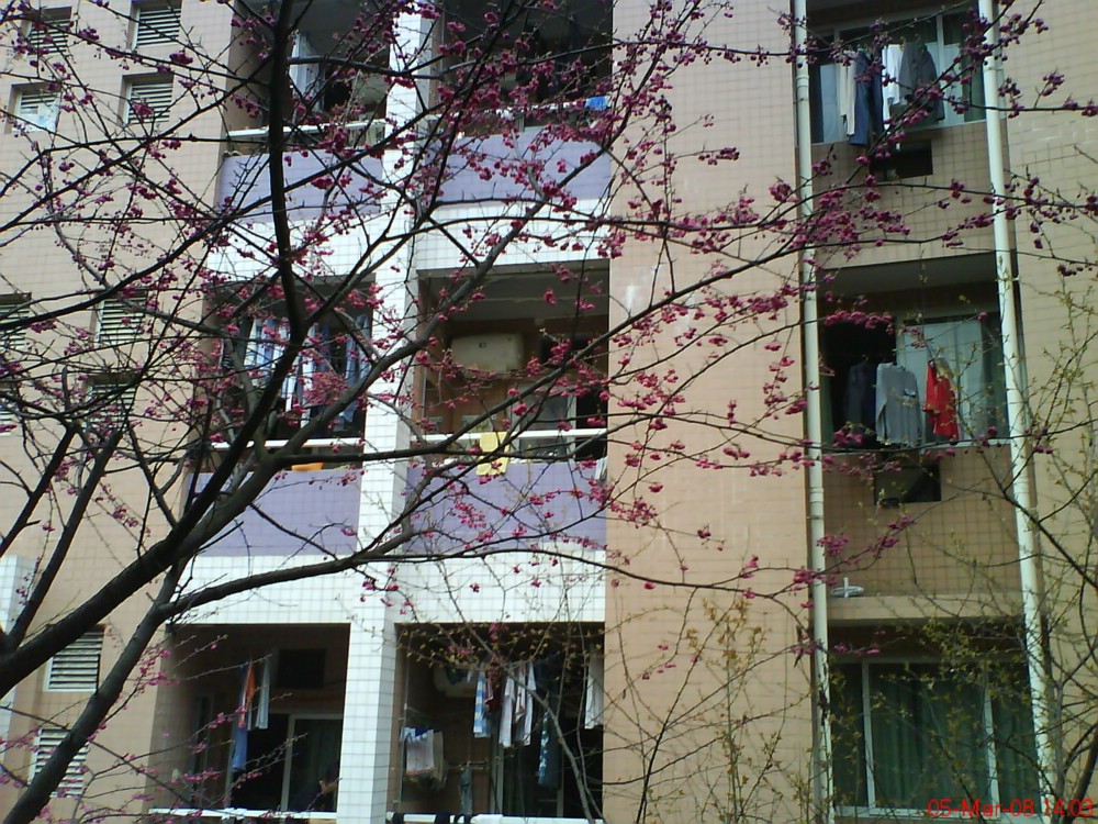 长江大学