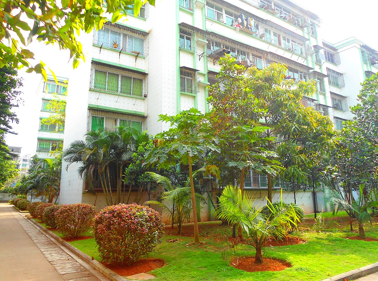جامعة هاينان