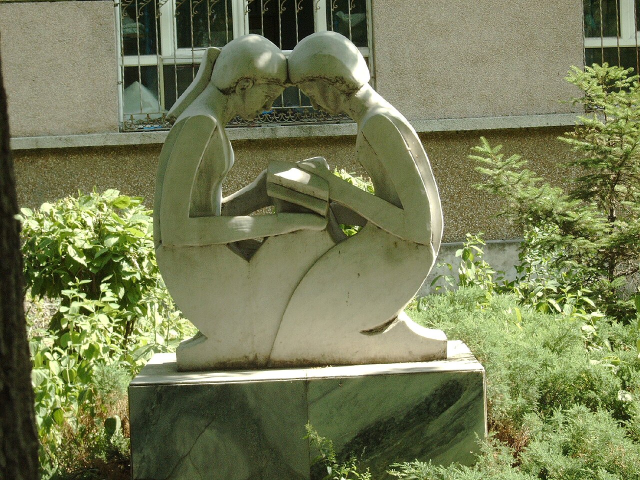 Jiamusi University