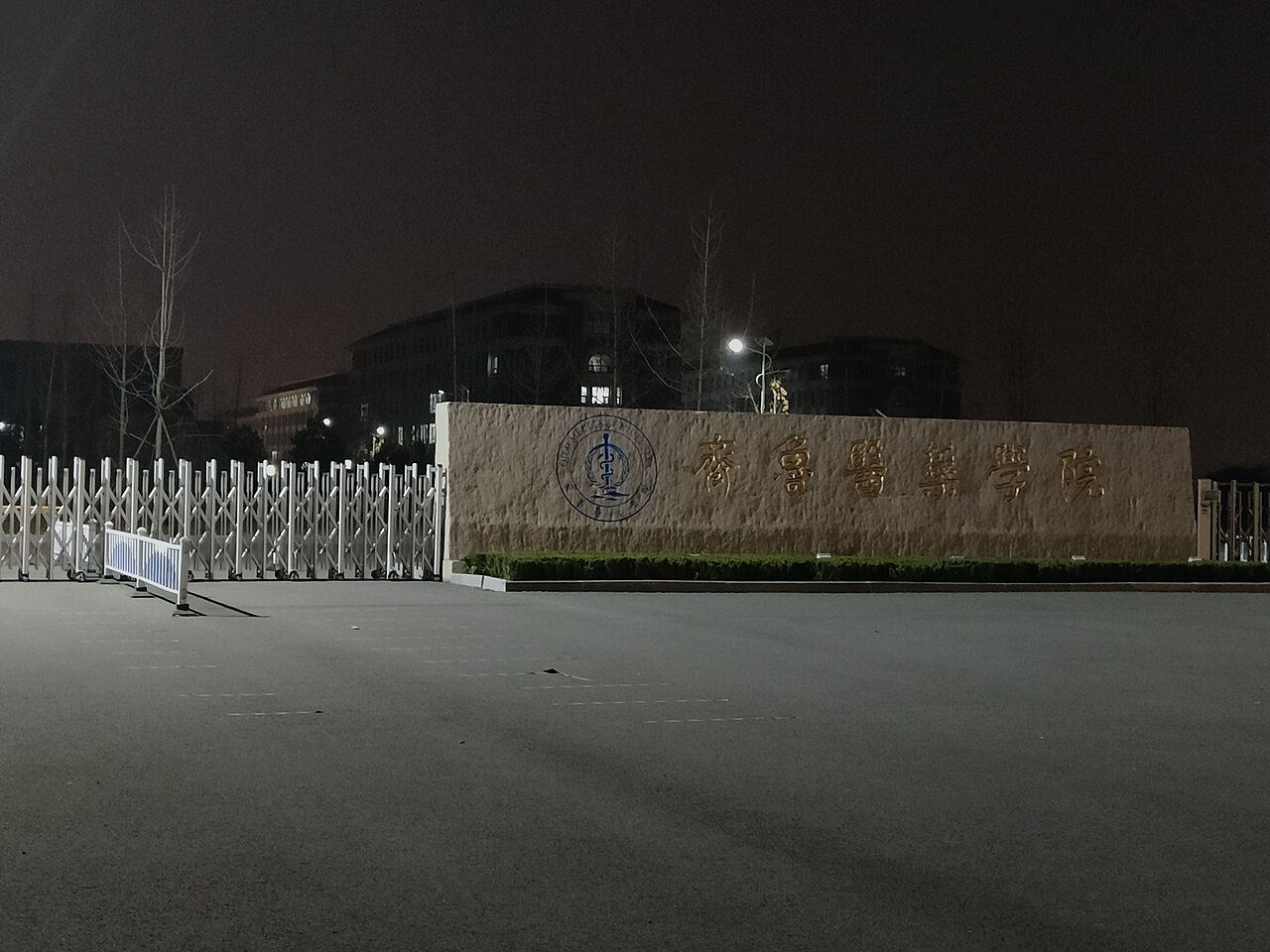 齐鲁医药学院