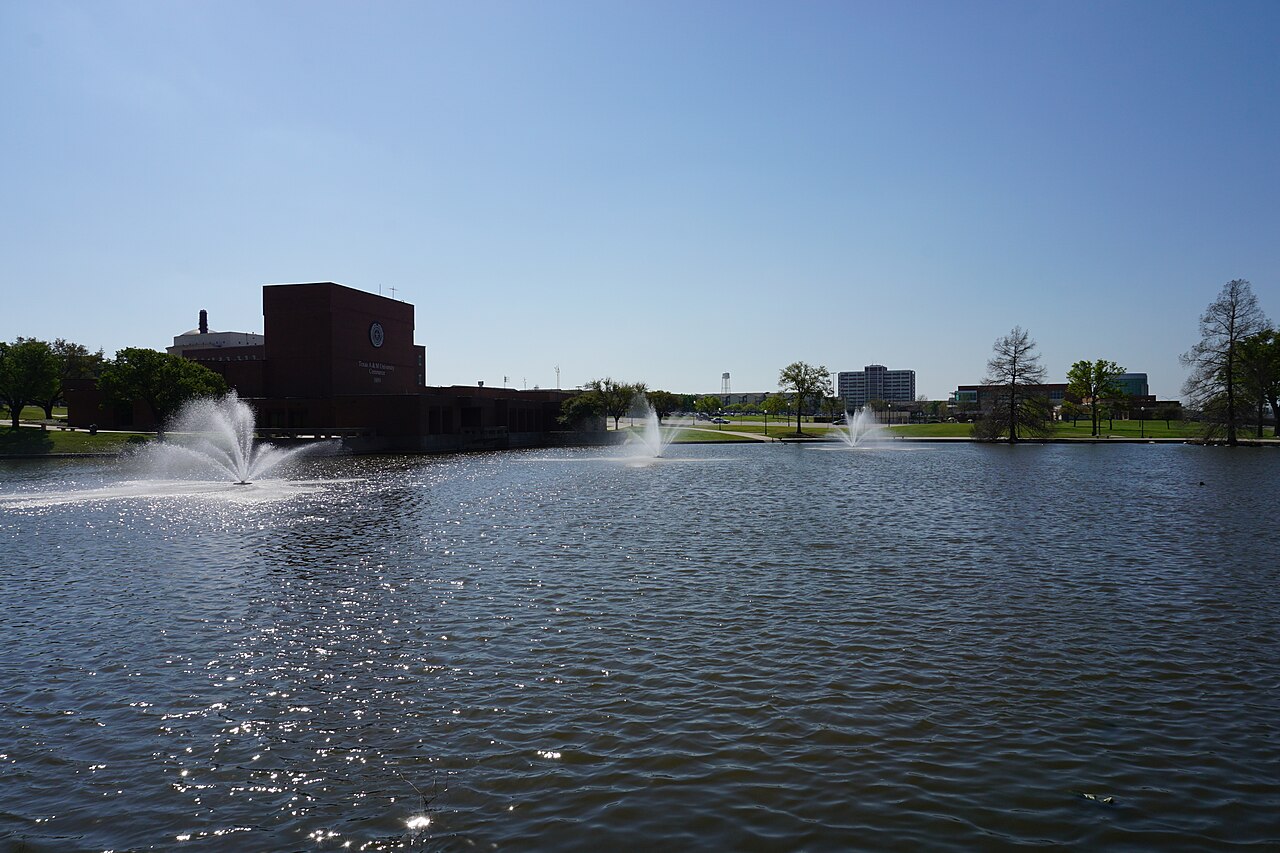 جامعة جيلي
