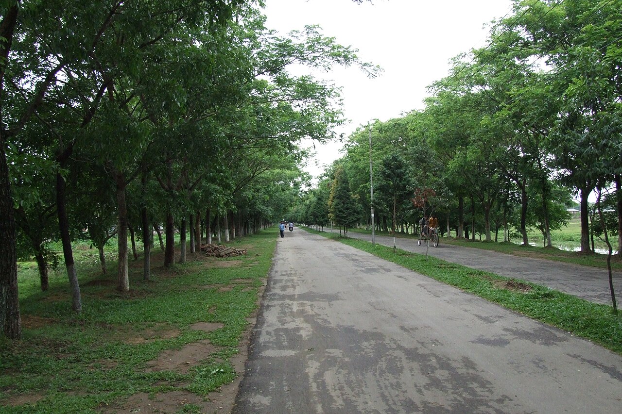 山东科技大学