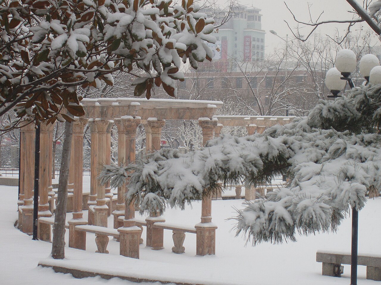Shandong Agricultural University