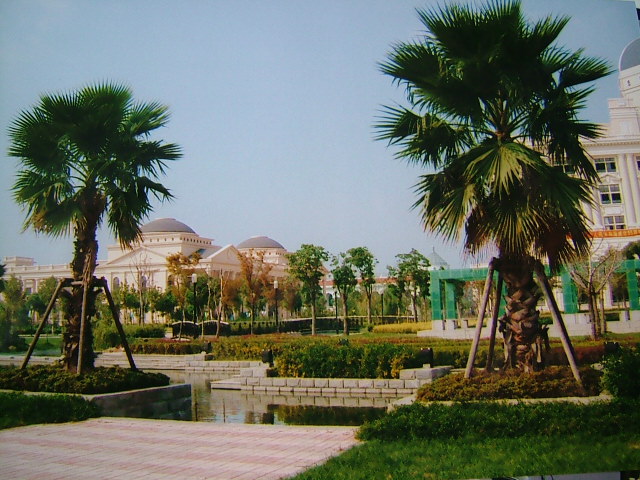 Shanghai International Studies University