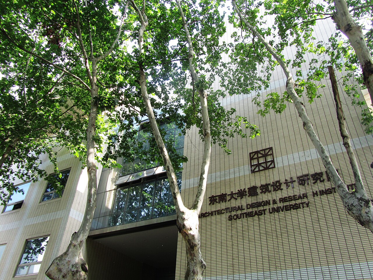 东南大学
