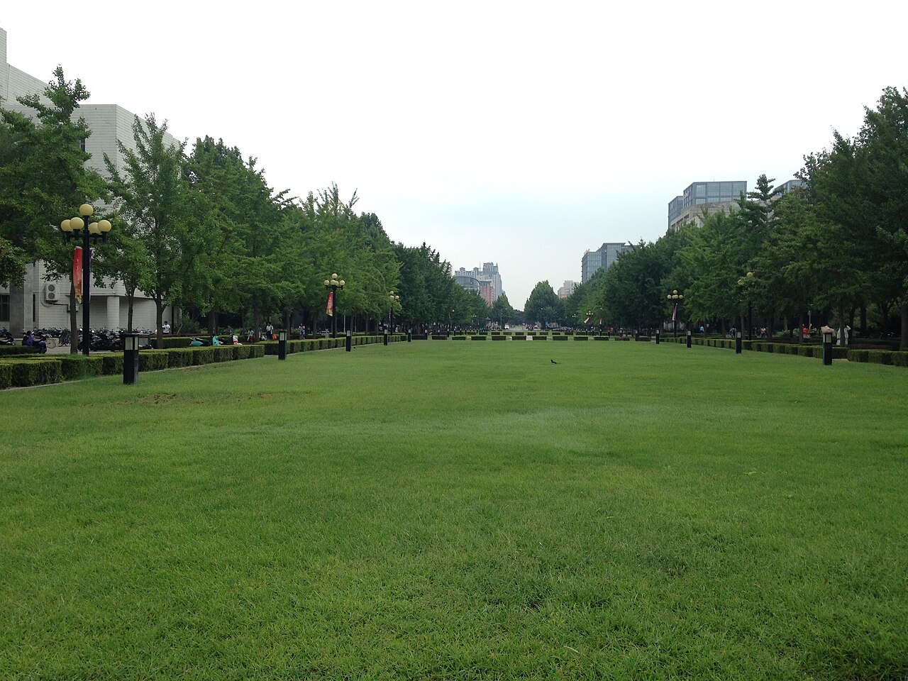 清华大学