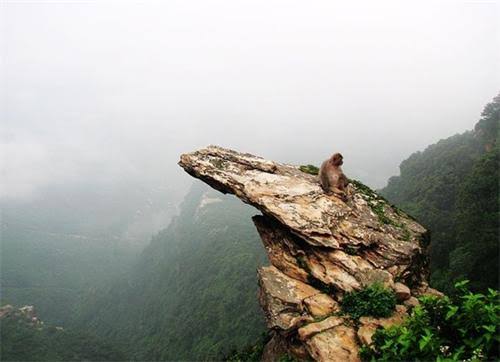 Mount Huaguo (Flower and Fruit Mountain)