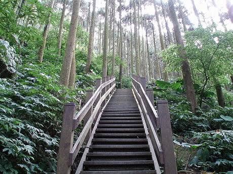 Wuzhishan (Five Finger Mountain)