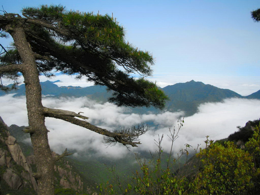 Mount Sanqingshan