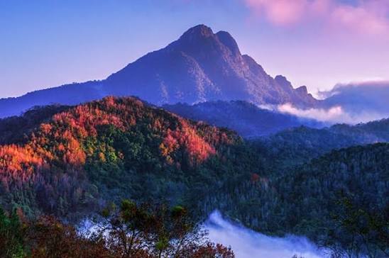 Wuzhishan (Five Finger Mountain)
