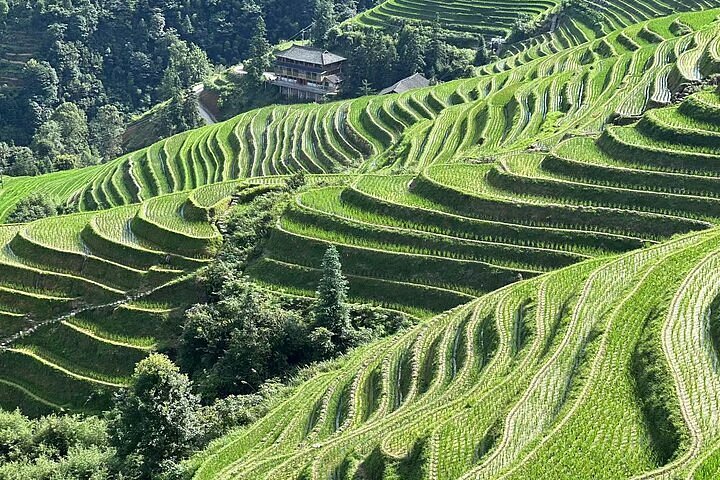 Longji Rice Terraces