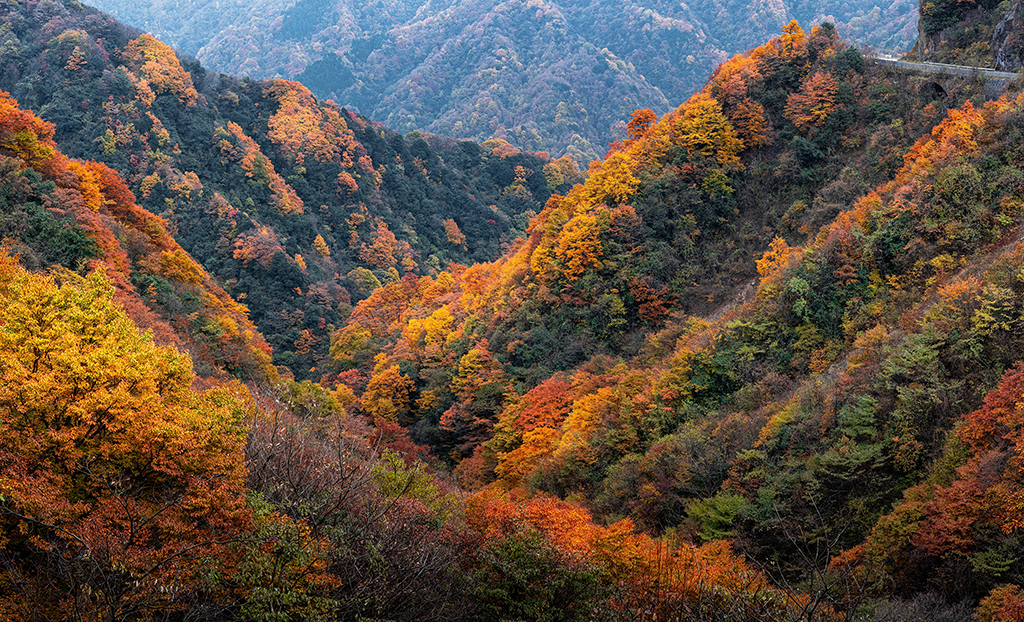 光雾山