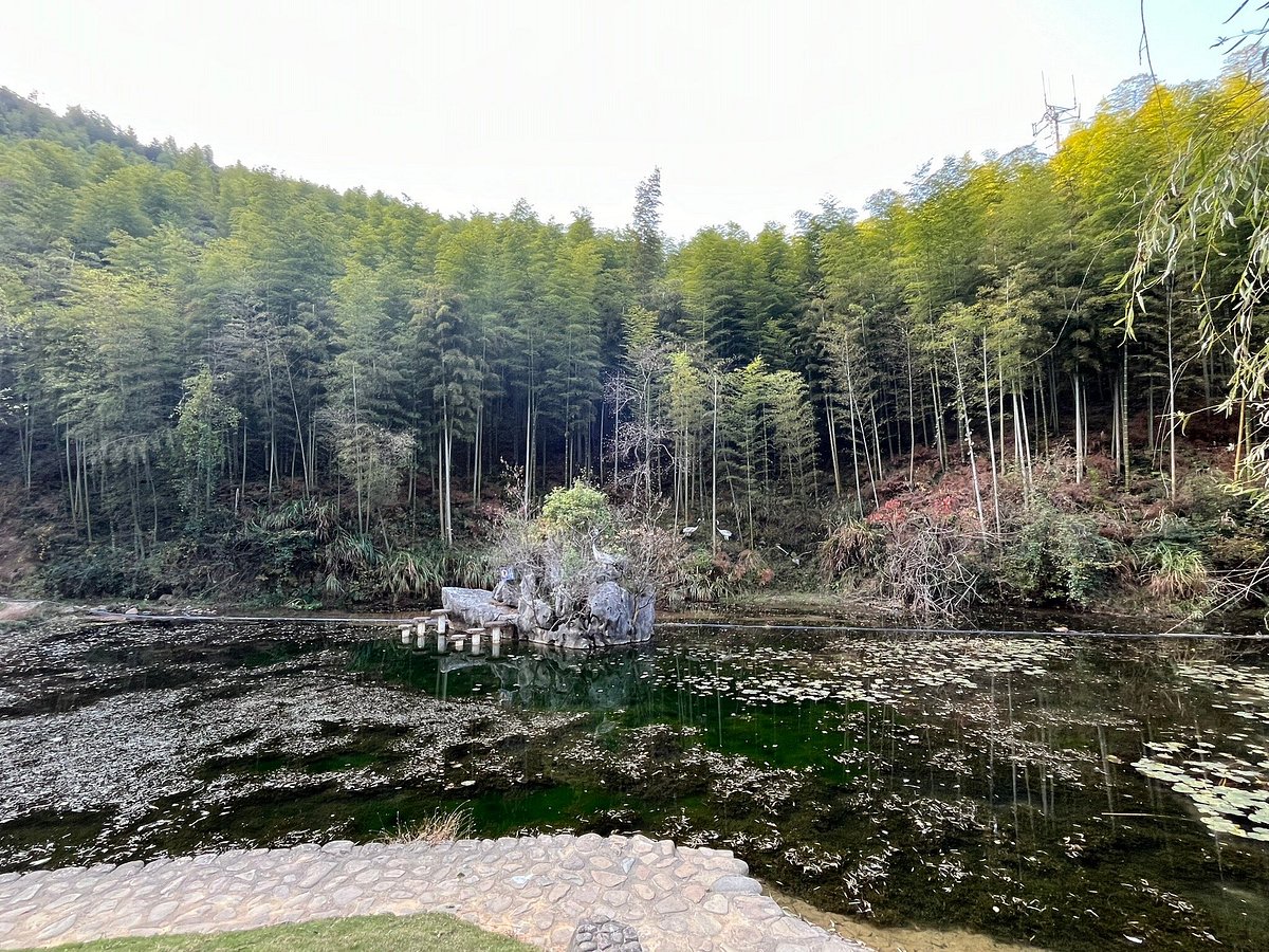 بحر الخيزران الصيني الكبير