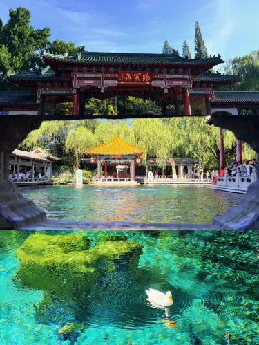 趵突泉