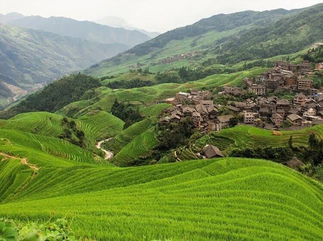 Longji Rice Terraces