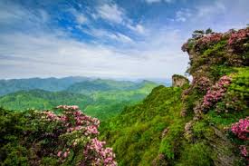 光雾山
