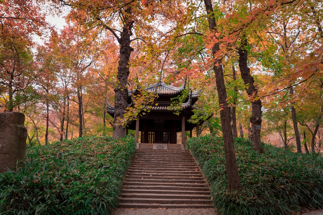 Tiger Hill